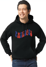 Load image into Gallery viewer, OGE Retro Patriots Hoodie
